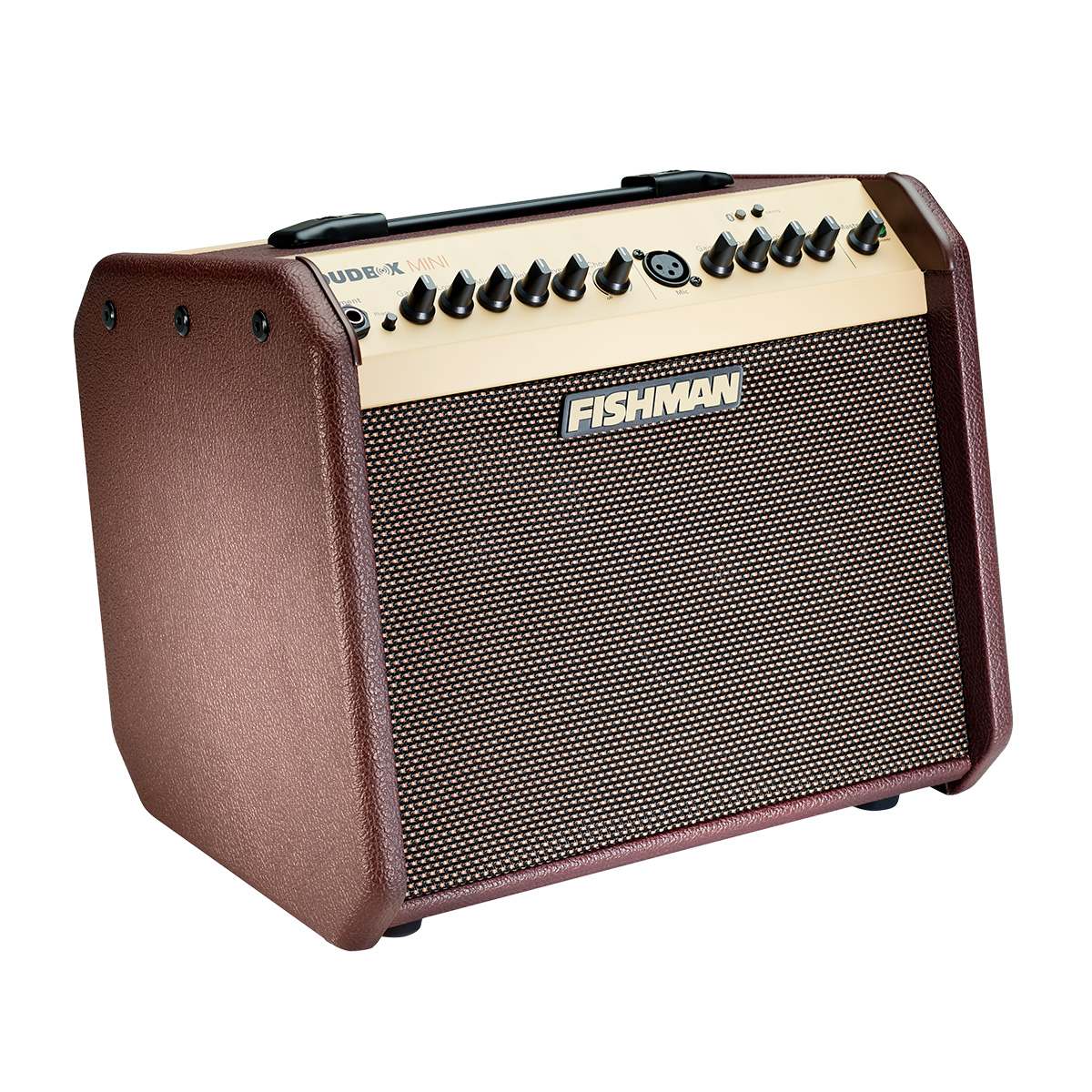 LoudBox Mini