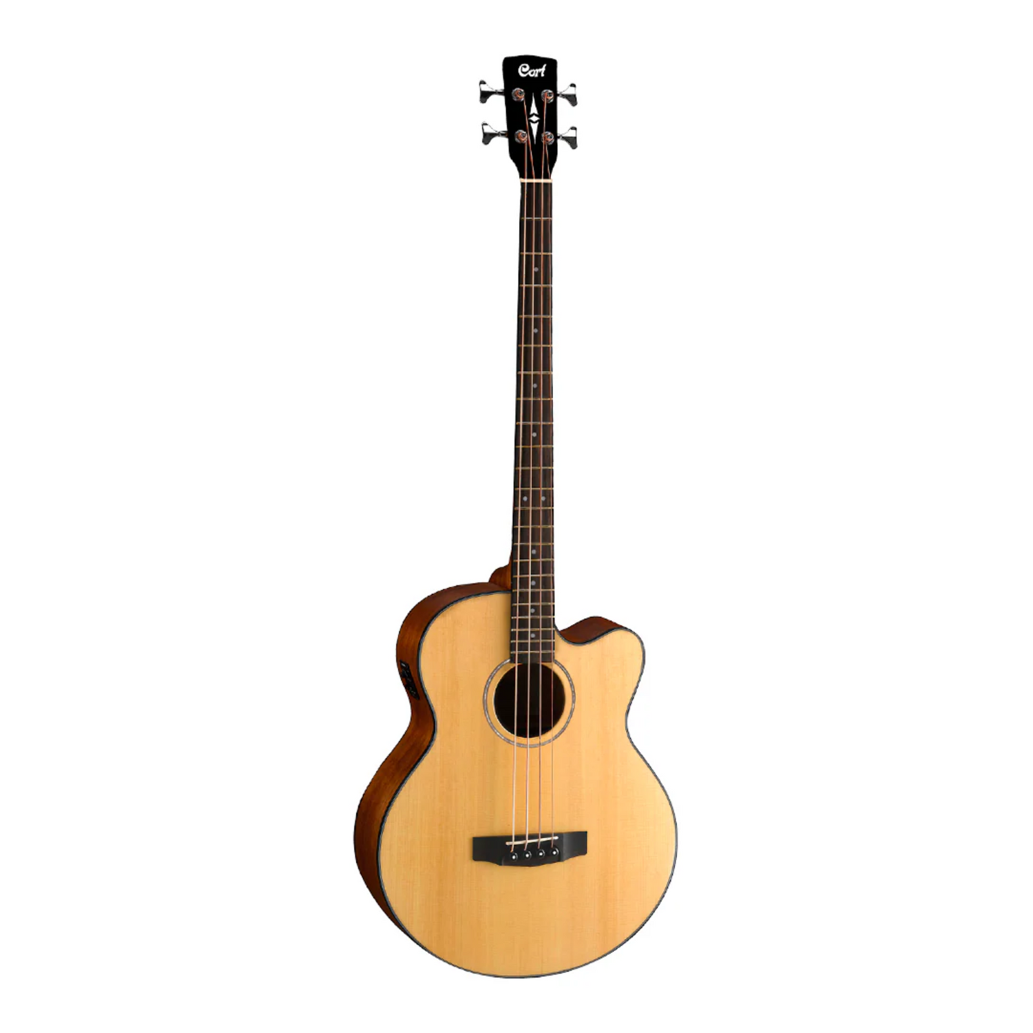 ACOUSTIC BASS GUITAR
