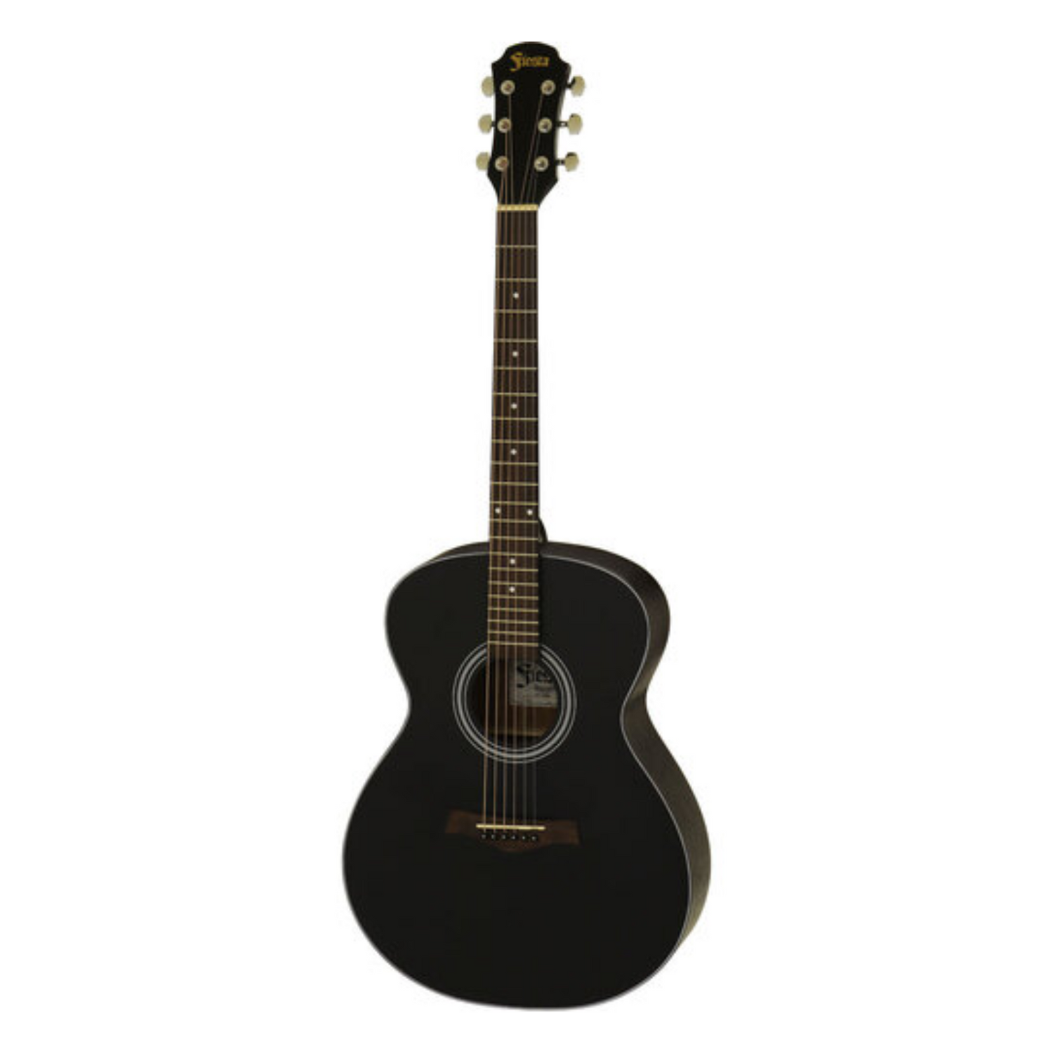 ACOUSTIC GUITAR