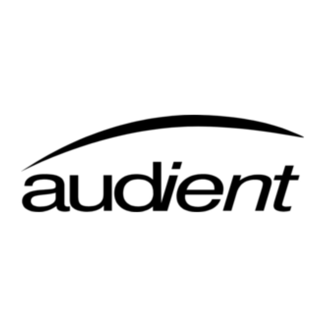 AUDIENT