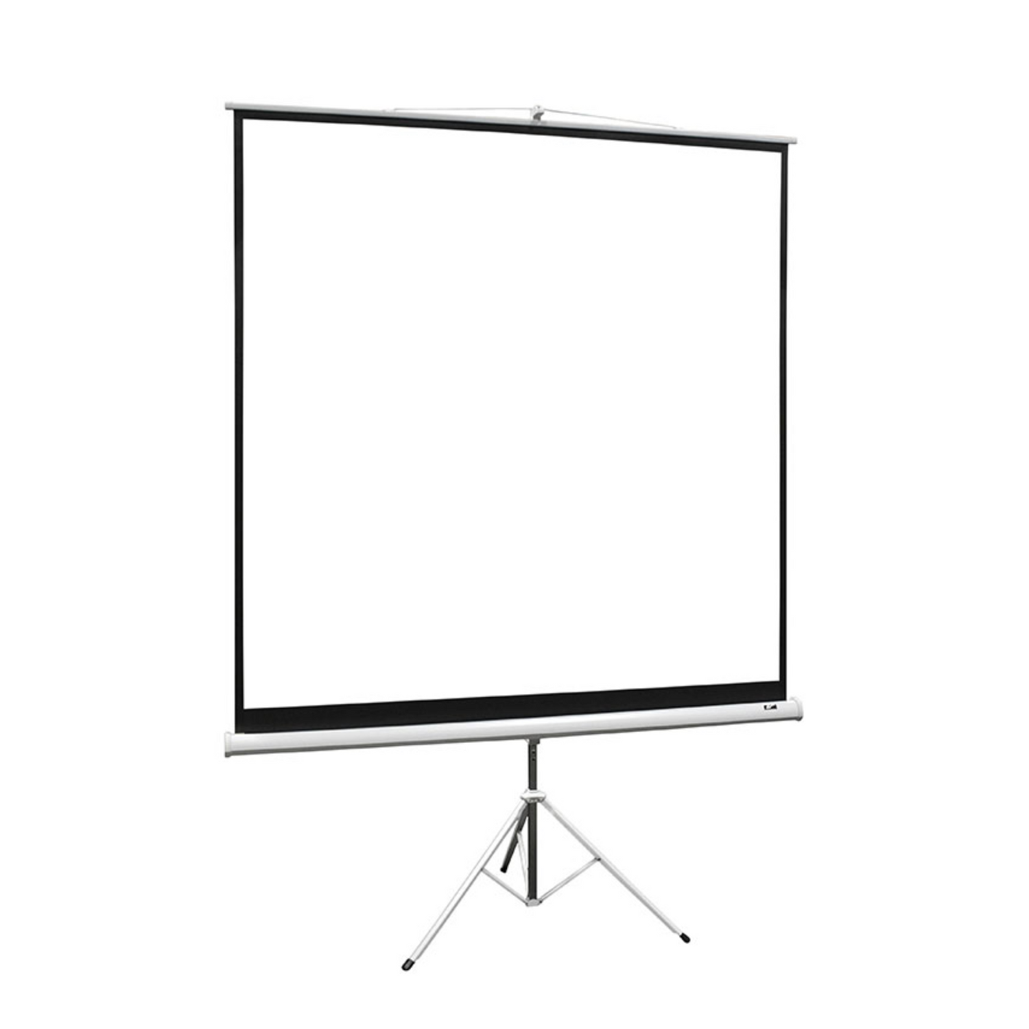 TRIPOD SCREEN