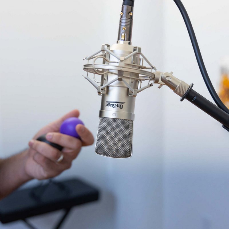 AS800 FET Condenser Mic
