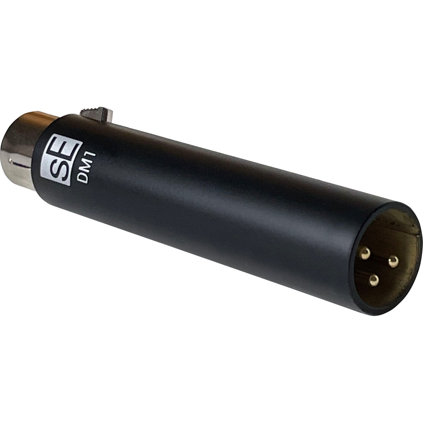 DM1
