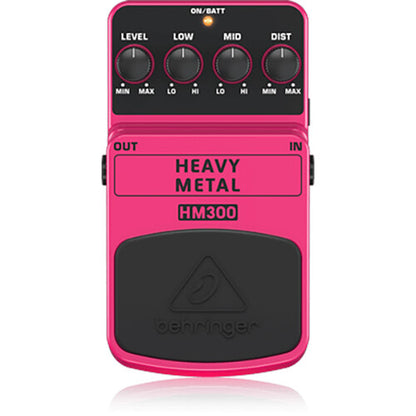 HM300
