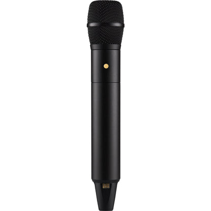 Interview Pro