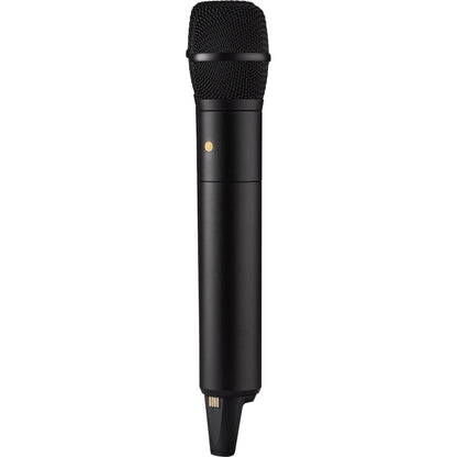 Interview Pro