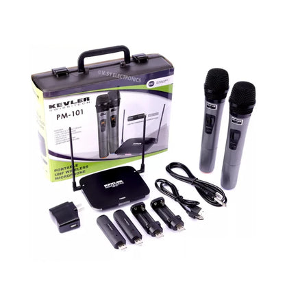 PM-101