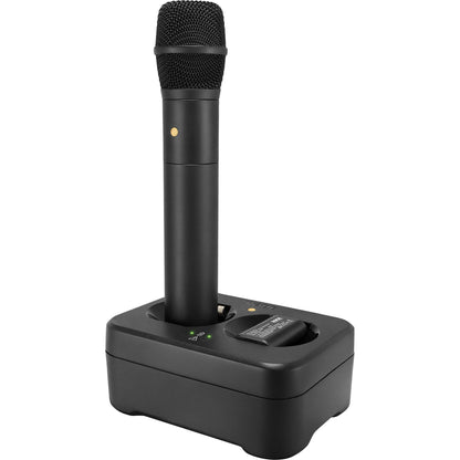 RS1