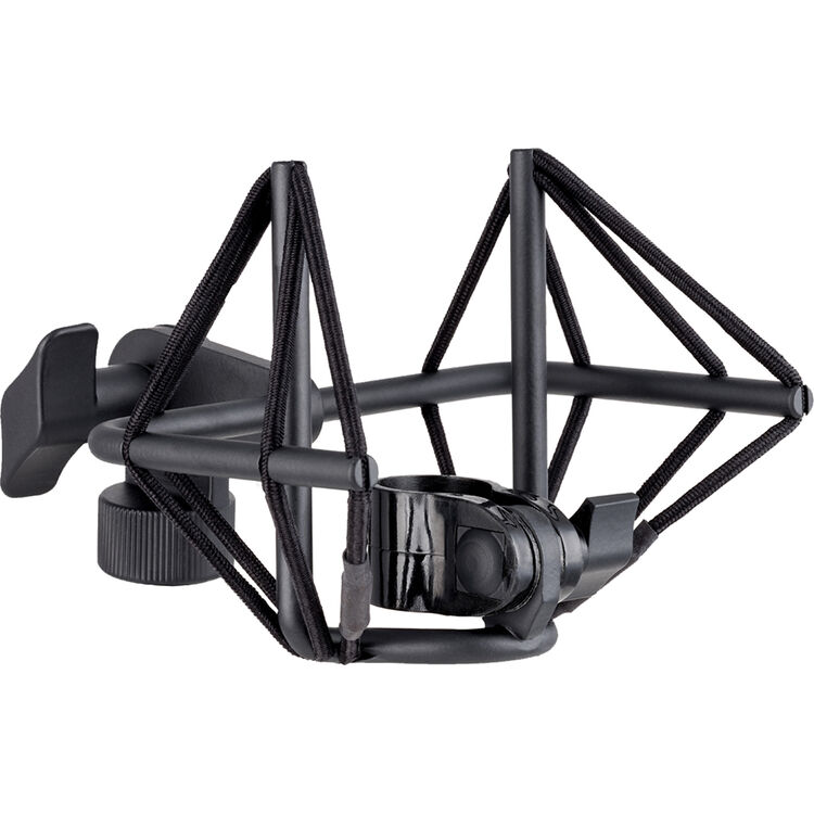 VR1