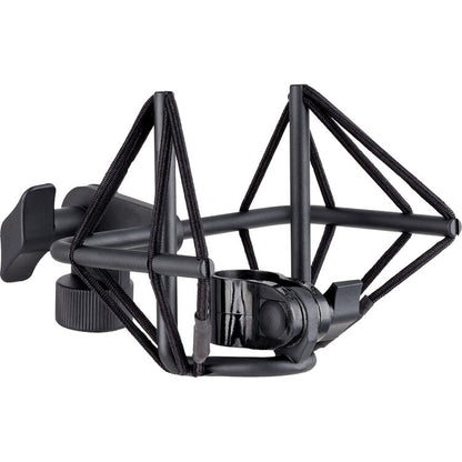 VR1
