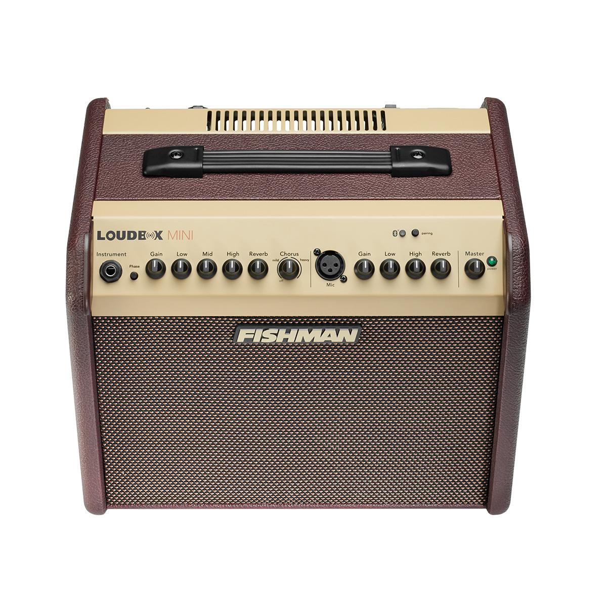 LoudBox Mini