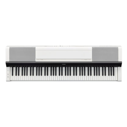 P-S500